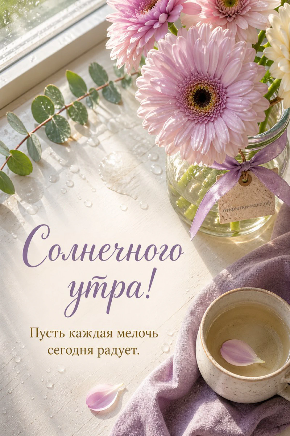 Розовые и жёлтые герберы в стеклянной банке с лиловой лентой у окна с каплями воды, чашка чая и сиреневая ткань