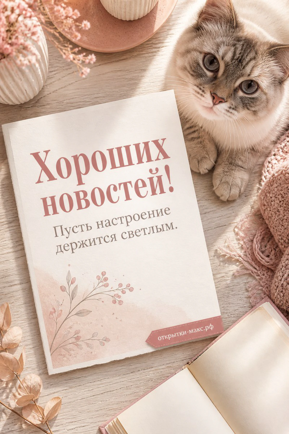 Пушистый серый кот рядом с открытой книгой и розовыми сухоцветами на деревянном столе, надпись «Хороших новостей»