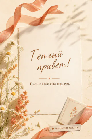 Открытка с надписью Тёплый привет на фоне ромашек и сухоцветов с персиковой лентой