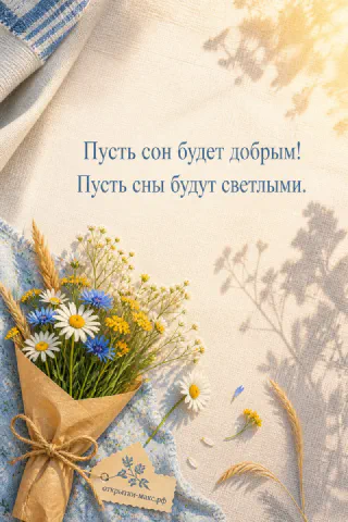 Букет полевых цветов — ромашки, васильки и колосья — с надписью «Пусть сон будет добрым»